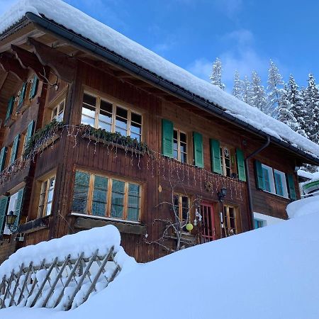 Chalet Schiltwald Innerwengen Wengen Exterior foto