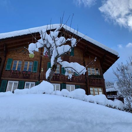Chalet Schiltwald Innerwengen Wengen Exterior foto