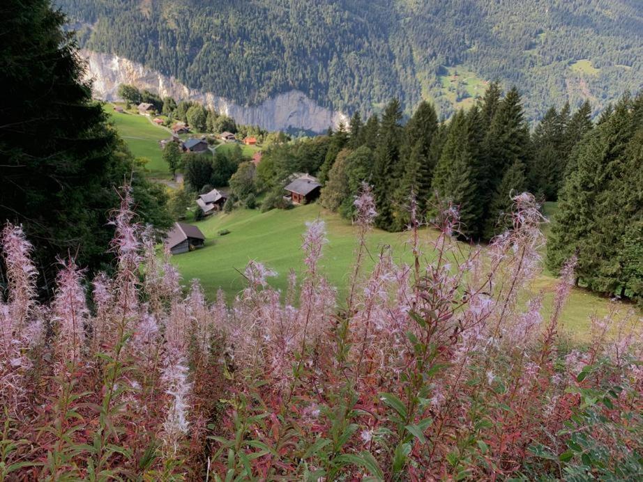 Chalet Schiltwald Innerwengen Wengen Exterior foto