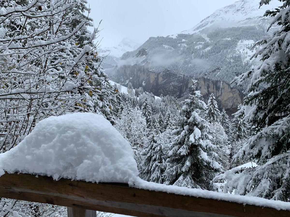 Chalet Schiltwald Innerwengen Wengen Exterior foto