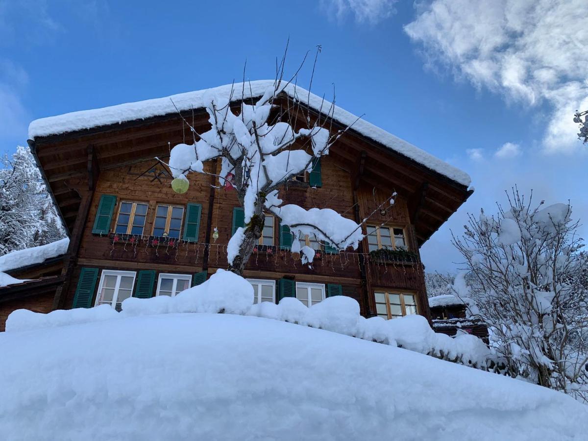 Chalet Schiltwald Innerwengen Wengen Exterior foto